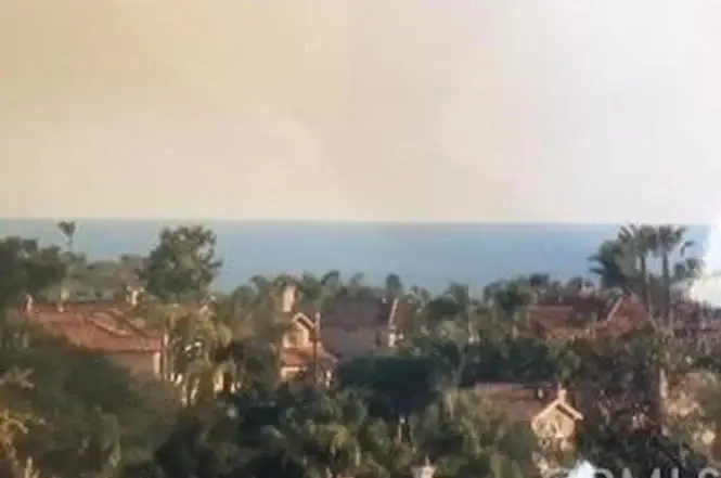Hazy seascape with houses and palm trees in foreground
