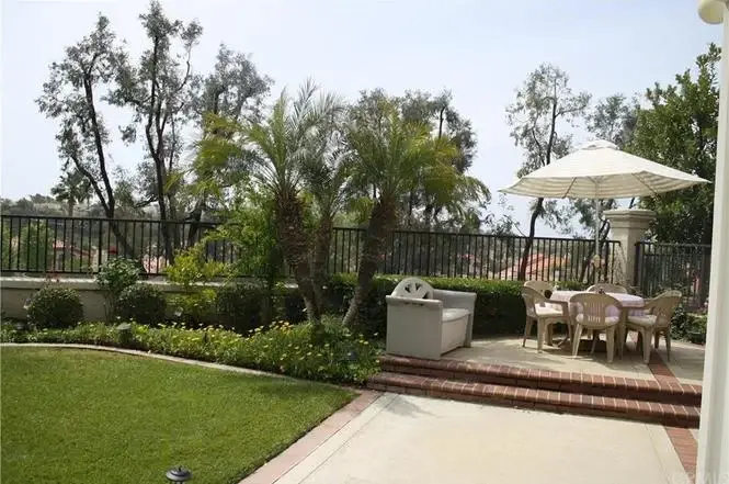 Backyard with lawn, palm trees, and patio set