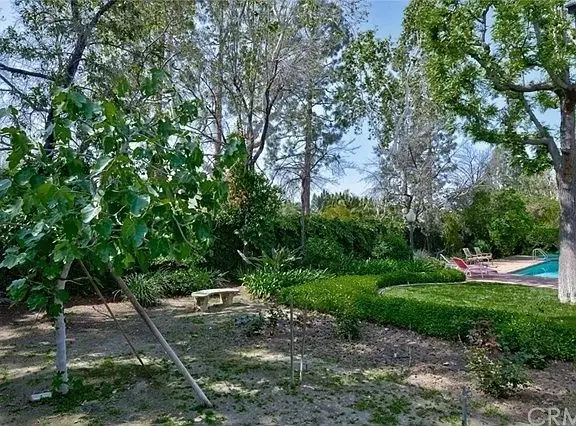 Backyard with garden, trees, shrubs, swimming pool