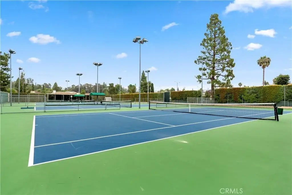 Tennis courts with blue surface, tall trees