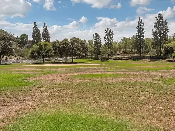 Grassy field with dry patches, trees around