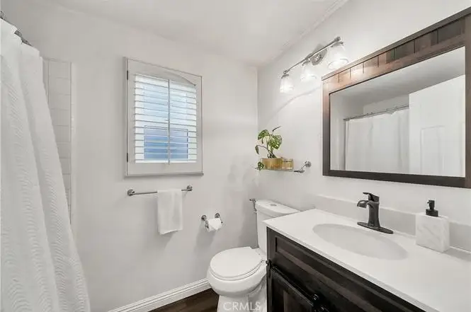 Bathroom with shower curtain, toilet, sink with dark wood vanity, large mirror, lights, and plant.