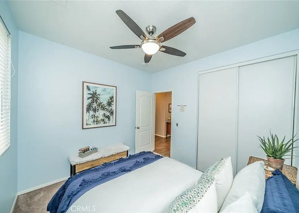 Bedroom with ceiling fan, light blue walls, large bed with pillows, palm tree artwork, door, and nightstand with plant
