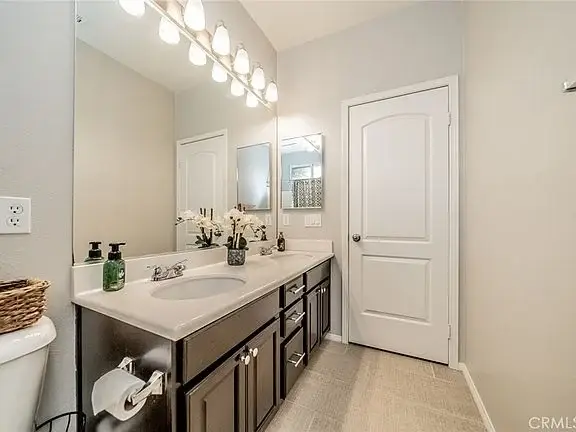 Bathroom with double sink vanity, dark cabinets, large mirror, plant, and closed door