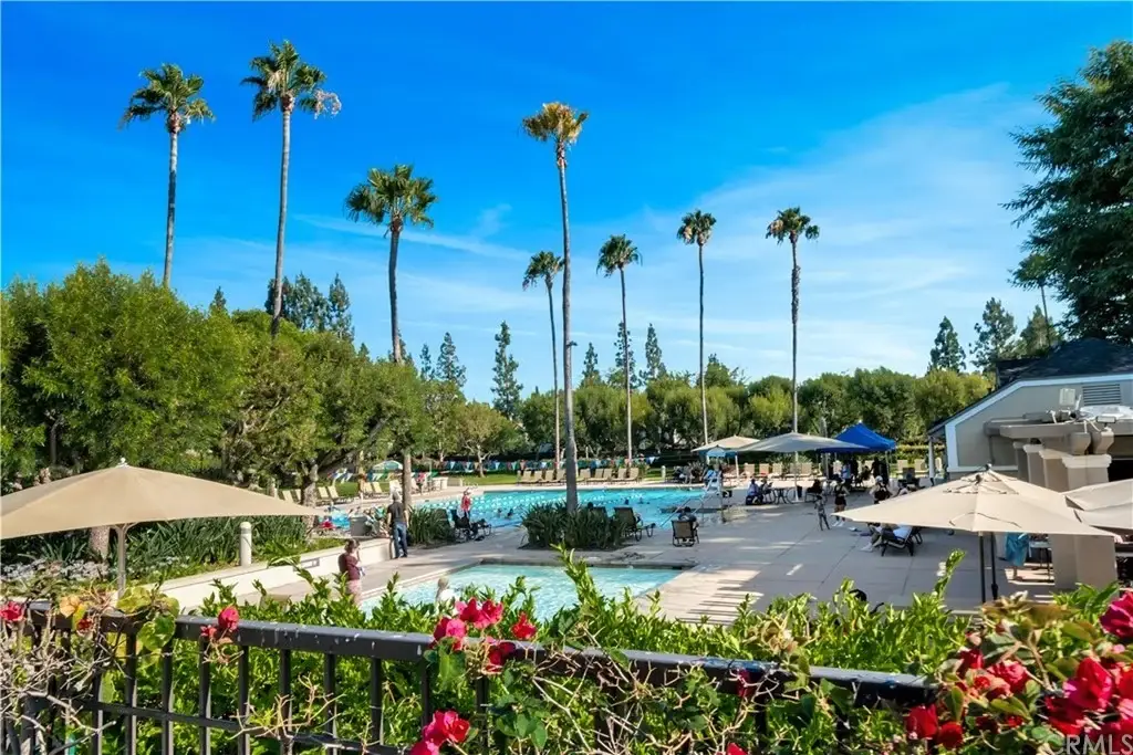 pool area surrounded by palm trees