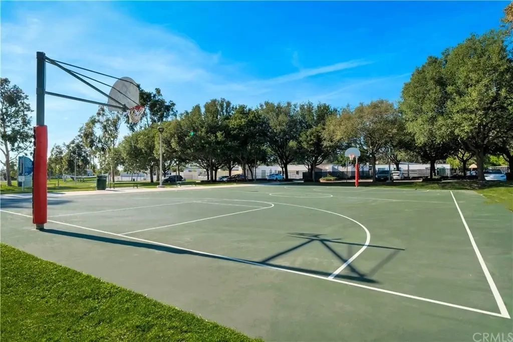 Basketball court with hoop and trees.
