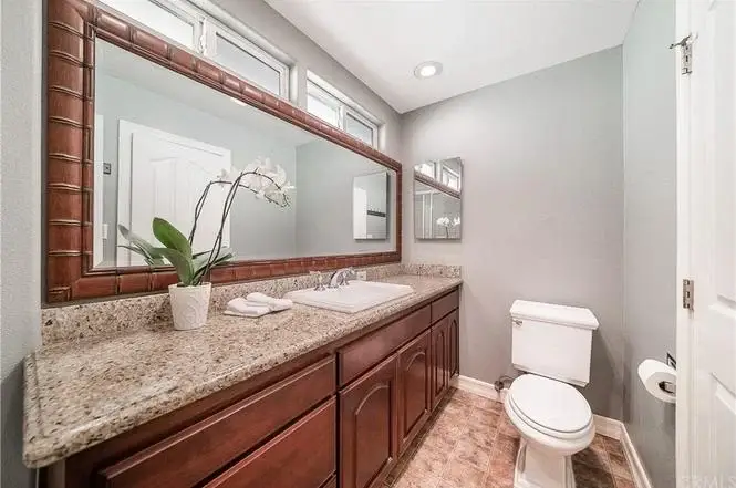 Bathroom with large mirror, sink with countertop, wooden cabinets, toilet, and decorative plant